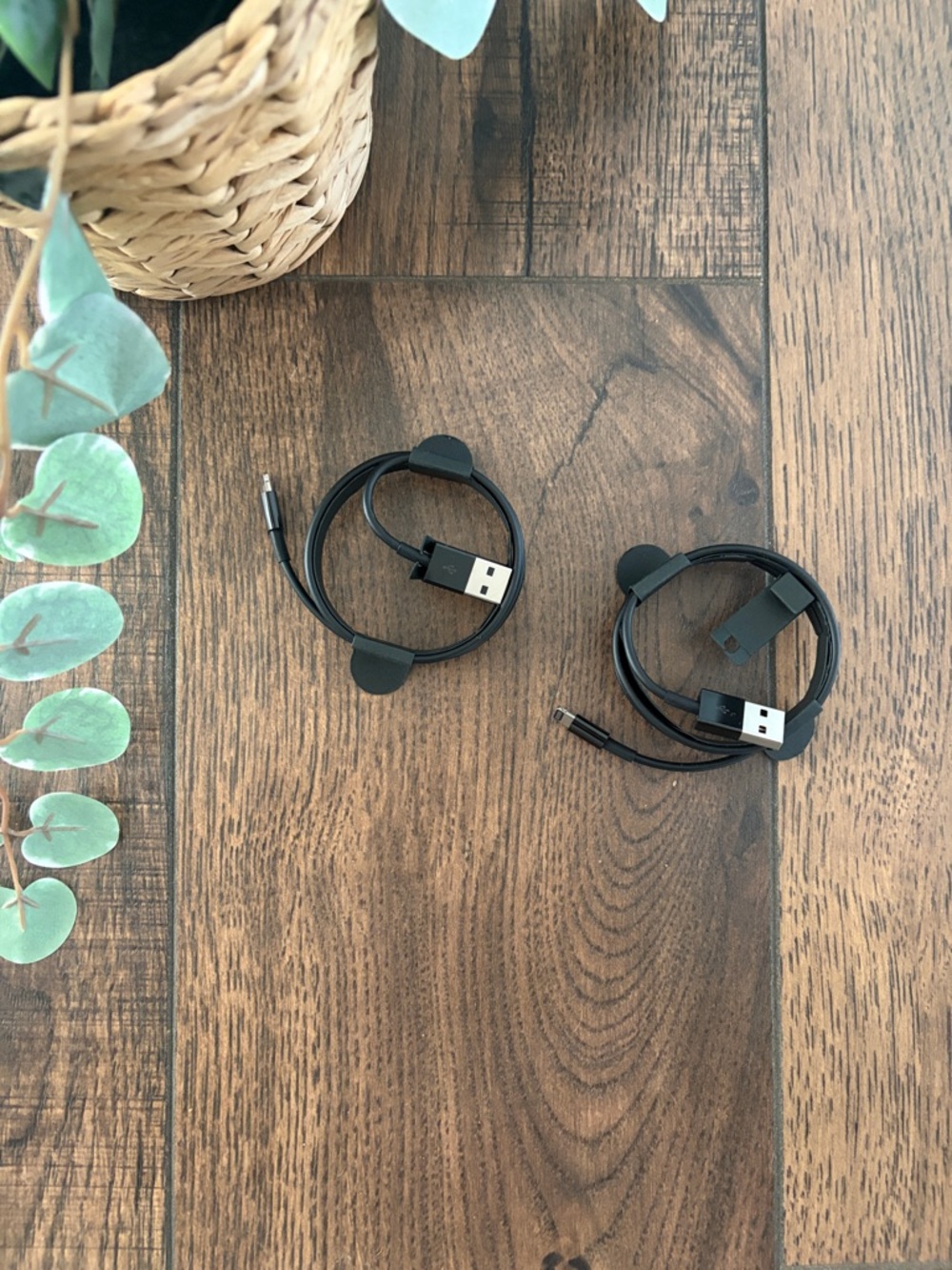 NWT Beats Charging Case USB-A to Lightning Cable (Set of Two)